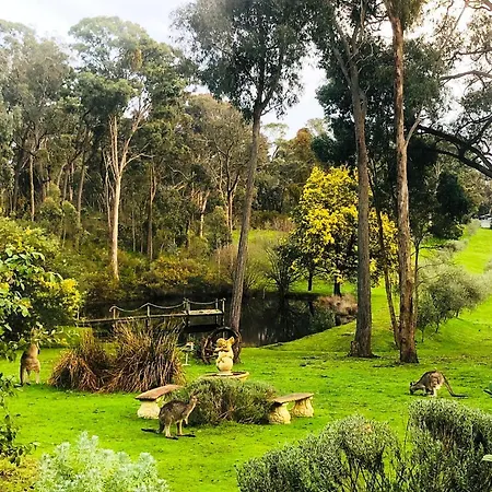 Countryside Retreat Romantic Tranquil Native Wildlife Township Hepburn - Daylesford Hepburn Springs Exterior photo