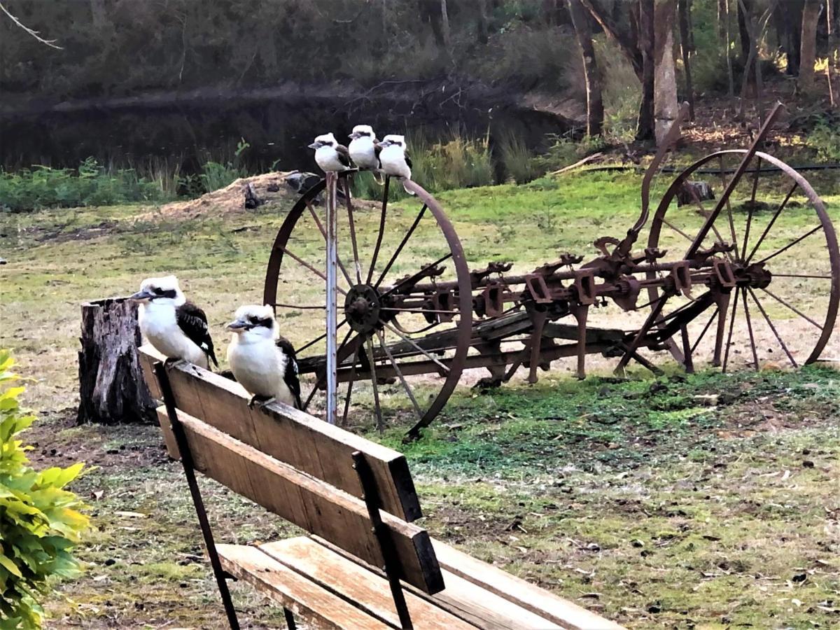 Apartment Countryside Retreat Romantic Tranquil Native Wildlife Township Hepburn - Daylesford