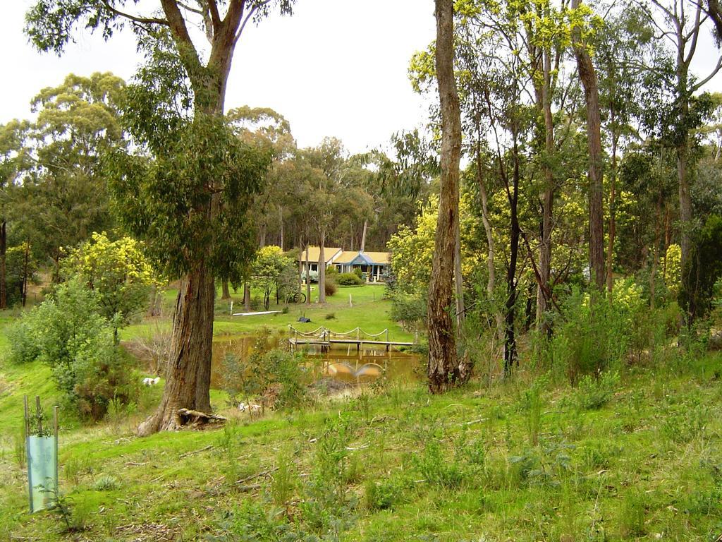 Countryside Retreat Romantic Tranquil Native Wildlife Township Hepburn - Daylesford Apartment