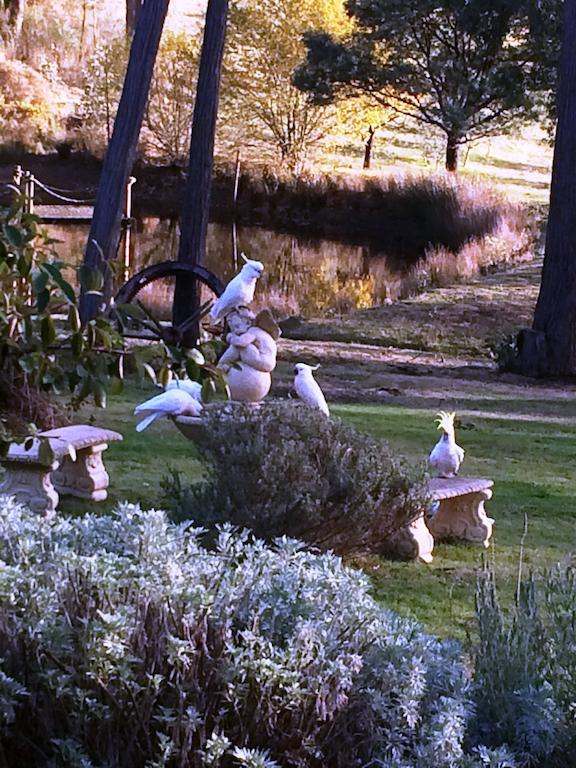 Countryside Retreat Romantic Tranquil Native Wildlife Township Hepburn - Daylesford Apartment