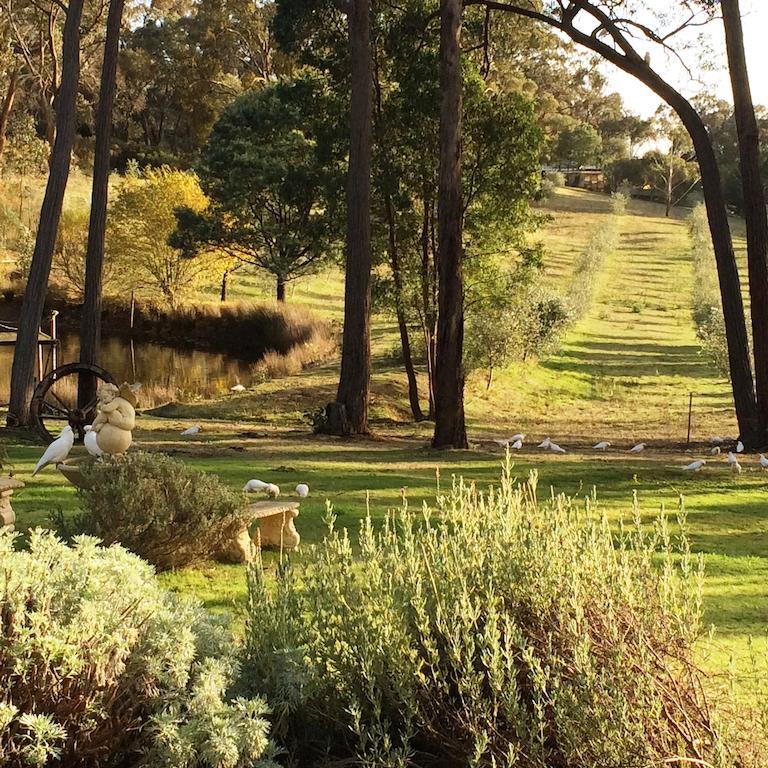 Countryside Retreat Romantic Tranquil Native Wildlife Township Hepburn - Daylesford *