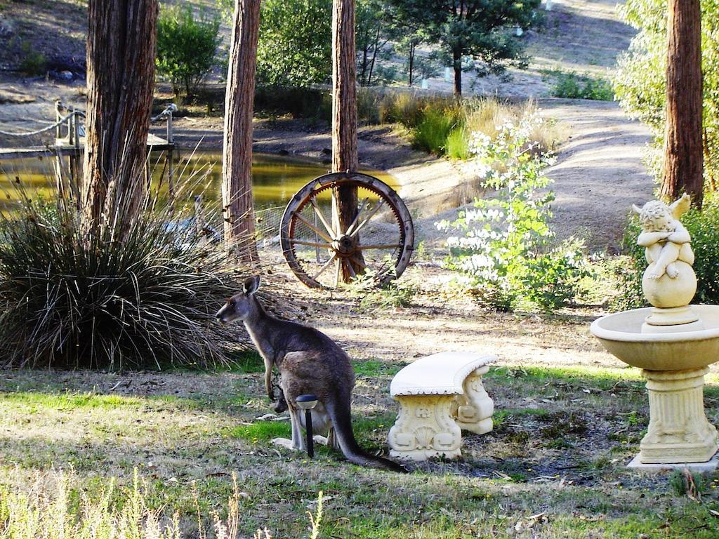 Countryside Retreat Romantic Tranquil Native Wildlife Township Hepburn - Daylesford Hepburn Springs