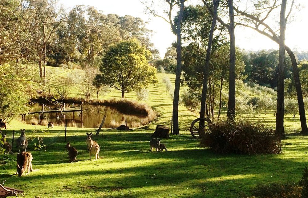 Countryside Retreat Romantic Tranquil Native Wildlife Township Hepburn - Daylesford Hepburn Springs