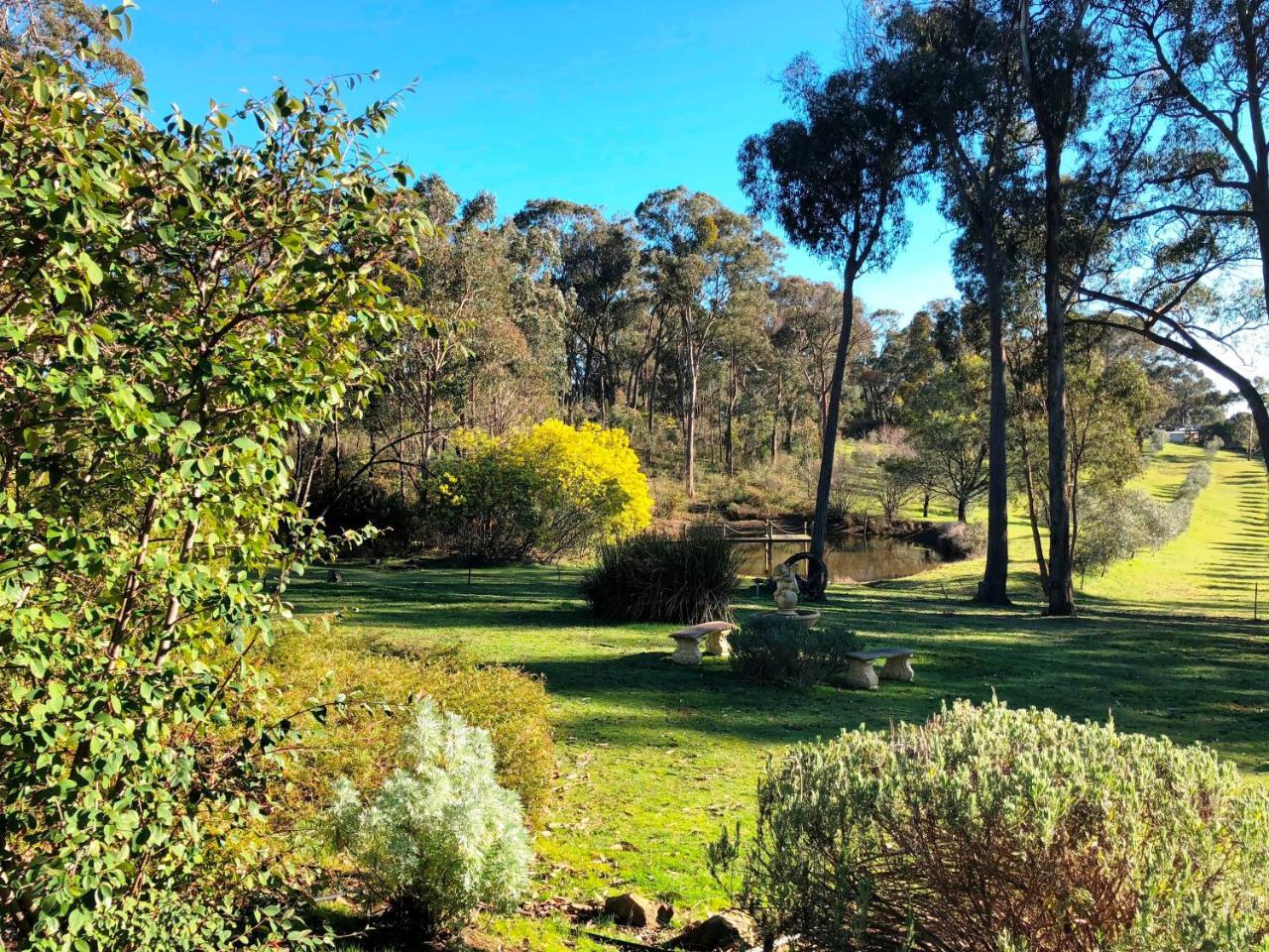 Countryside Retreat Romantic Tranquil Native Wildlife Township Hepburn - Daylesford Hepburn Springs