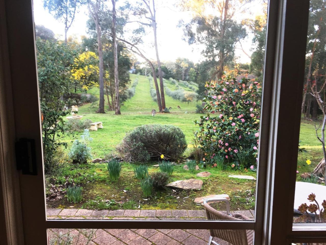 Apartment Countryside Retreat Romantic Tranquil Native Wildlife Township Hepburn - Daylesford