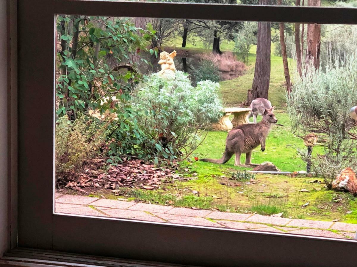 Countryside Retreat Romantic Tranquil Native Wildlife Township Hepburn - Daylesford * Hepburn Springs