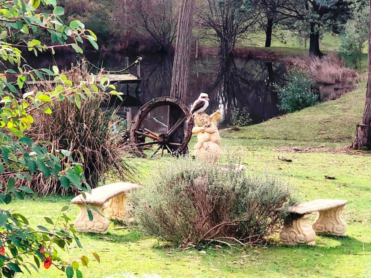 Apartment Countryside Retreat Romantic Tranquil Native Wildlife Township Hepburn - Daylesford