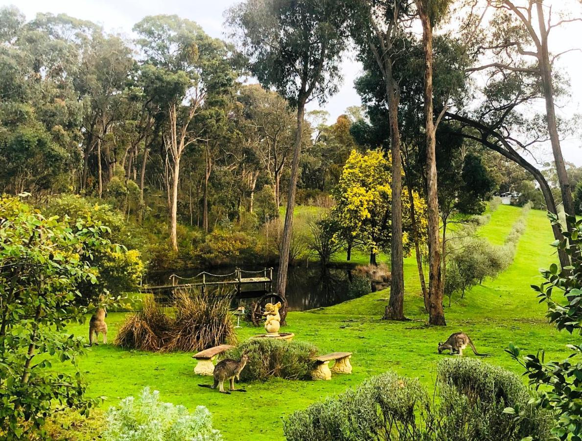 Countryside Retreat Romantic Tranquil Native Wildlife Township Hepburn - Daylesford Apartment